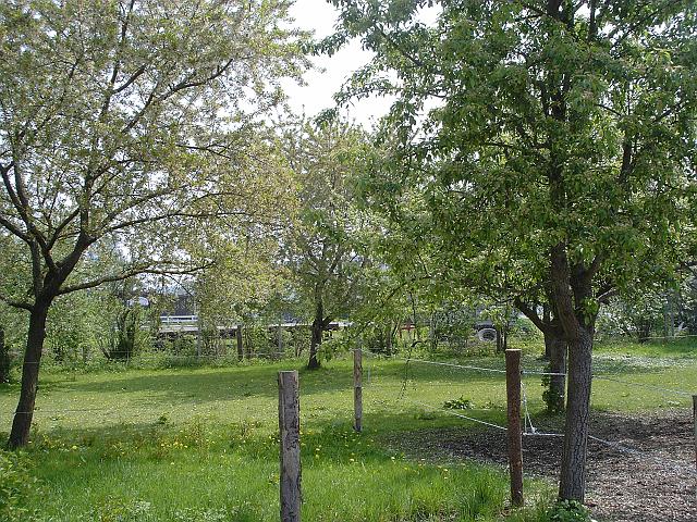 KIF_0486.JPG