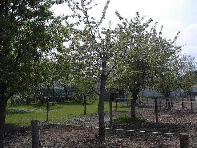 KIF_0487.JPG