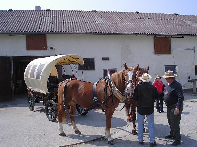 KIF_0504.JPG