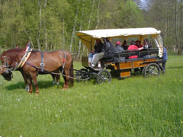 KIF_0510.JPG