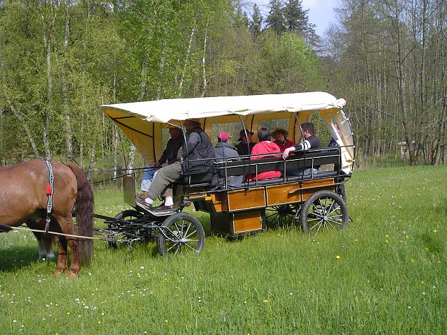 KIF_0513.JPG