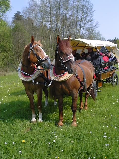 KIF_0519.JPG