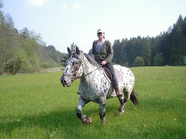 KIF_0522.JPG