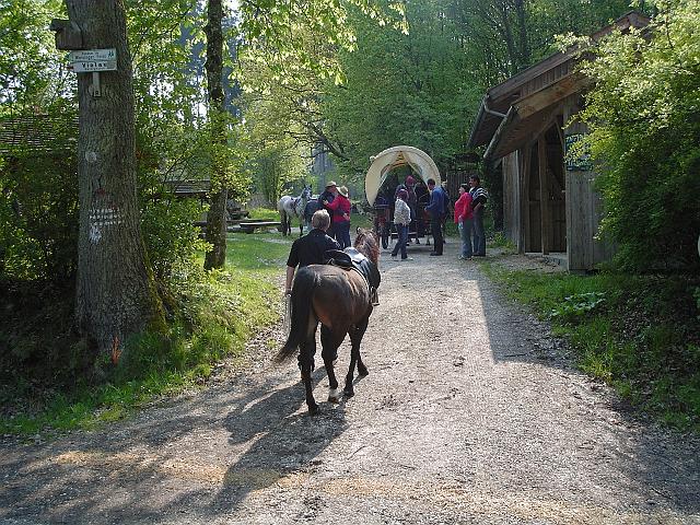 KIF_0523.JPG
