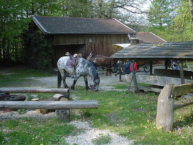 KIF_0526.JPG