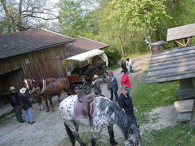 KIF_0529.JPG