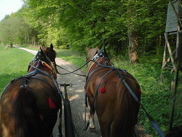 KIF_0534.JPG