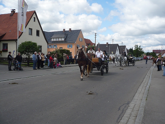 P1010386.JPG